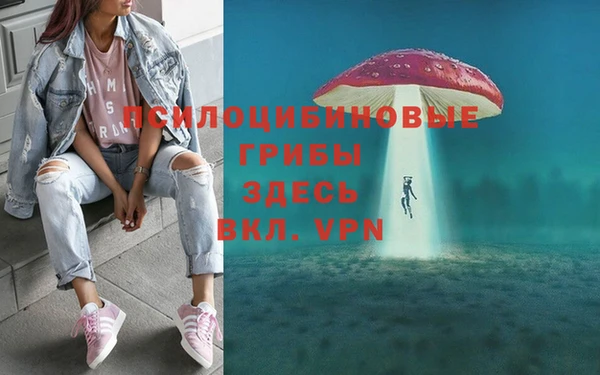кокаин колумбия Бородино