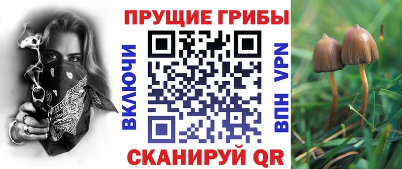Купить где  Вихоревка  Псилоцибиновые грибы Magic Shrooms 